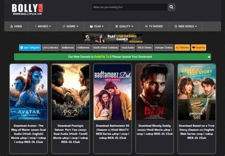 BollyFlix: Your Ultimate Guide to Bollywood Movies Online