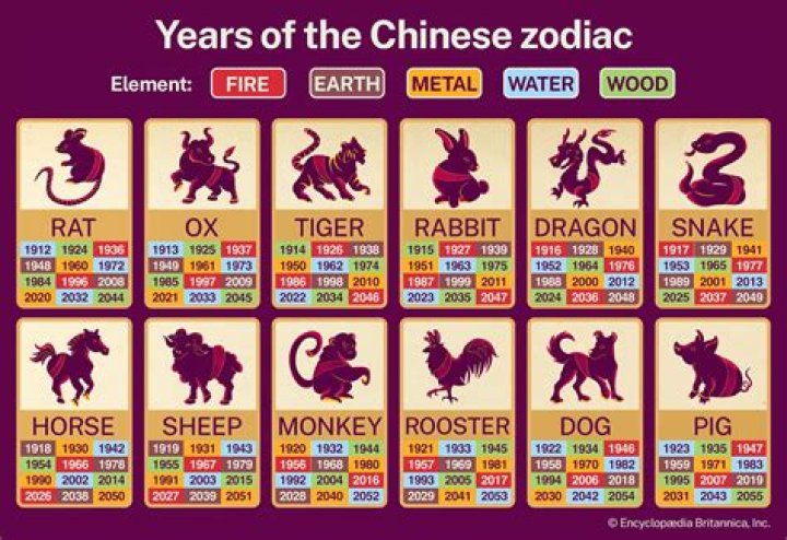 Discover the Mystical Significance of the 91 Chinese Year Animal: What Does It Symbolize?