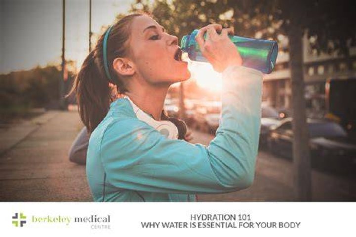 Quieres Agua: Discover the Essential Role of Hydration in Daily Life