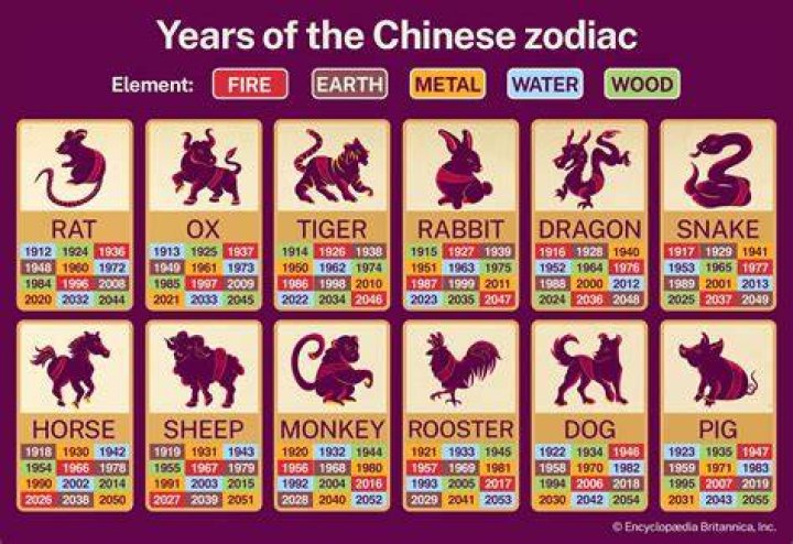 What is the Chinese Zodiac for 1991? Discover Your Zodiac Sign and Its Meaning